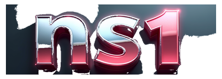 ns1 logo